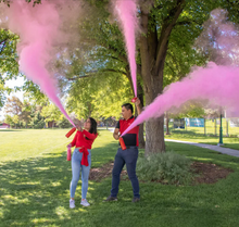 Load image into Gallery viewer, Fire Extinguishers