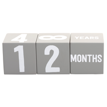 Load image into Gallery viewer, Milestone Age Blocks, Gray