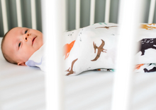 Load image into Gallery viewer, Muslin Swaddle Blanket : Dinosaurs