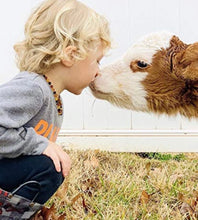 Load image into Gallery viewer, Amber Necklaces: Bracelets: Tricolor