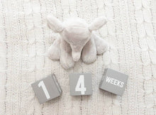 Load image into Gallery viewer, Milestone Age Blocks, Gray