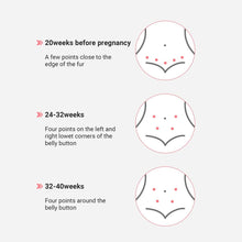 Load image into Gallery viewer, SpringBud FD-400B Fetal Doppler Heart Beat Monitor
