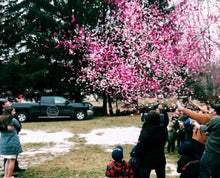 Load image into Gallery viewer, Gender Confetti Cannon (Pink or Blue)
