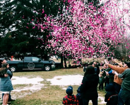 Gender Confetti Cannon (Pink or Blue)
