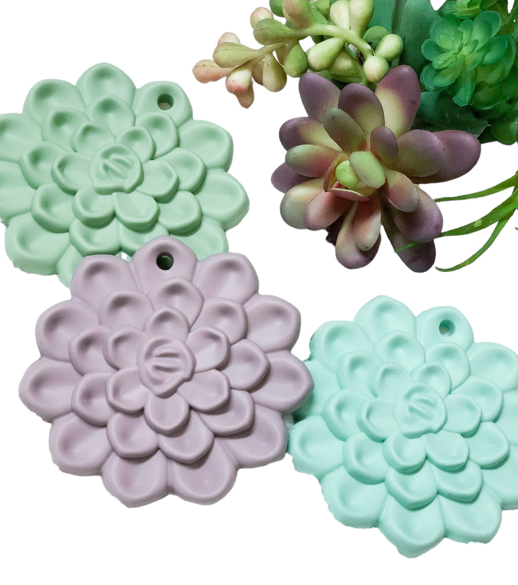 Succulent Teether Set (3 color options)